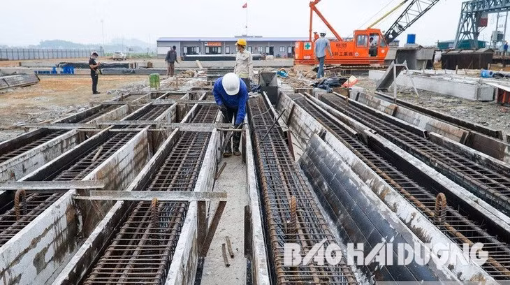 Công ty CP Xây dựng 1369 đang kinh doanh bất động sản dân cư và bất động sản công nghiệp tại các tỉnh Hải Dương, Quảng Ninh, Bắc Ninh, Sơn La, Ninh Bình, Đắk Nông, Tiền Giang...