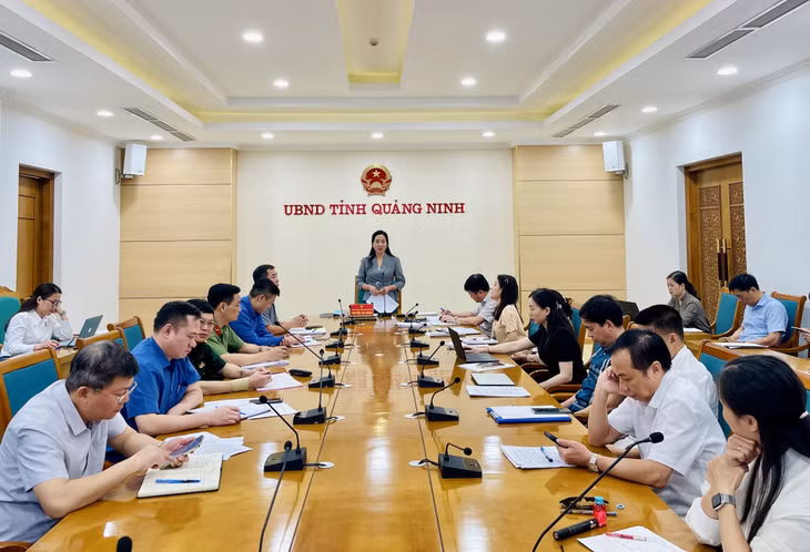 Đồng chí Nguyễn Thị Hạnh, Phó Chủ tịch UBND tỉnh, phát biểu chỉ đạo tại cuộc họp.