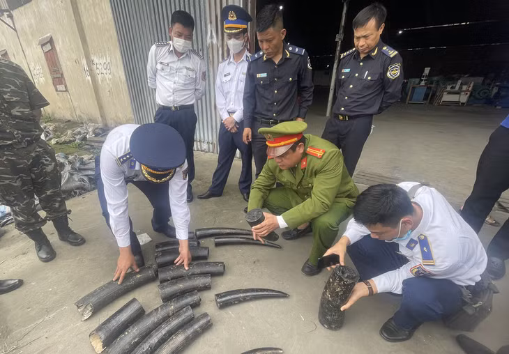 Lực lượng chức năng kiểm tra lô hàng. Ảnh: H.B.