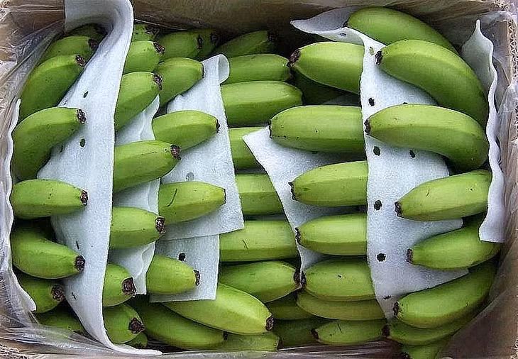 Xuất khẩu quả chuối: Những tín hiệu tích cực từ thị trường Trung Quốc ảnh 1