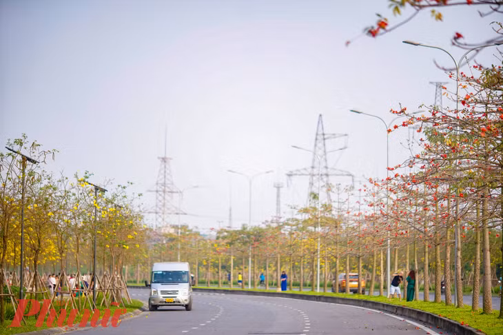 Đây là con đường nội khu thuộc khu đô thị Park City (Dương Nội, Hà Đông, Hà Nội). Con đường có điểm nhấn đặc biệt khi 2 bên đường là 4 hàng hoa phong linh, còn ở dải phân cách giữa đường là hàng cây gạo nở hoa đỏ rực.