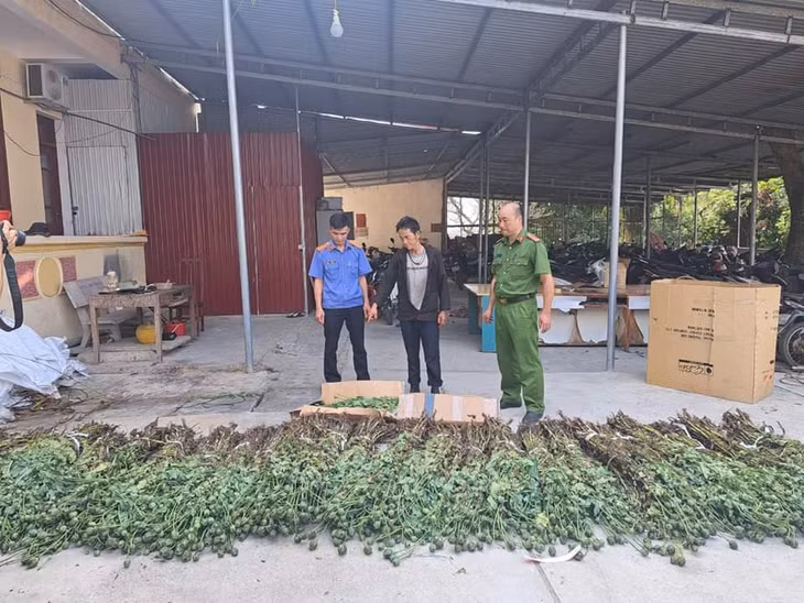 Tang vật cơ quan chức năng thu giữ (Ảnh: Công an tỉnh Hà Giang).