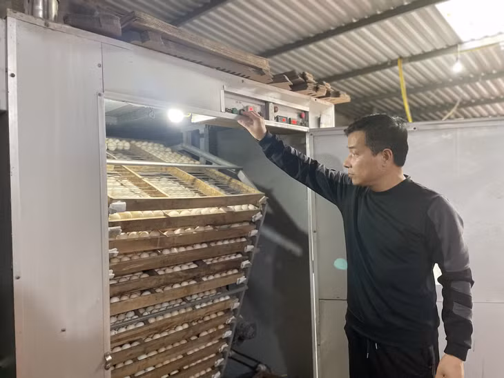 HTX dịch vụ nông nghiệp ấp trứng và sản xuất giống gia cầm Thắng Huệ (huyện Đầm Hà) áp dụng máy móc hiện đại để ấp trứng.