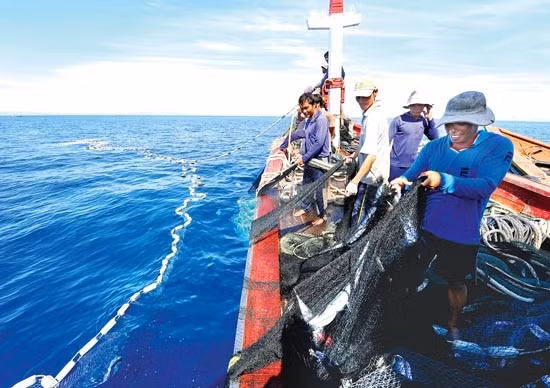 Khai thác thủy sản không có Giấy phép bị phạt tới 100 triệu đồng.