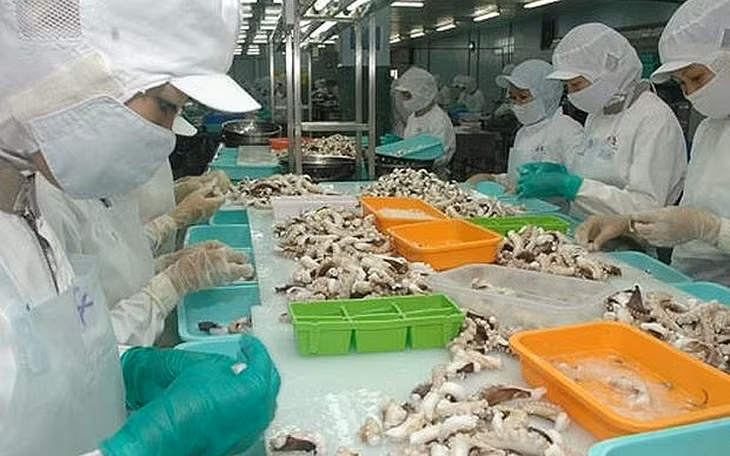 Xuất khẩu hải sản 8 tháng đầu năm 2021 đạt 2,1 tỷ USD Xuất khẩu hải sản 8 tháng đầu năm 2021 đạt 2,1 tỷ USD