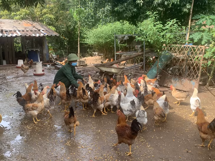 Anh Tuấn bên trang trại gà của gia đình.