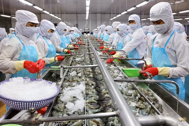 Cần có đánh giá, dự báo thị trường tiêu thụ trong những tháng cuối năm.