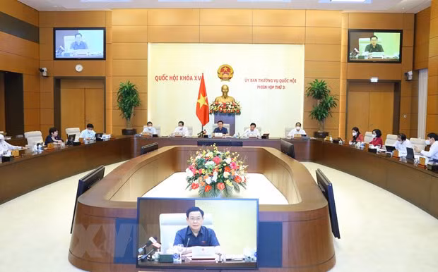 Kiem soat chat viec ban hanh cac van ban quy dinh chi tiet hinh anh 1