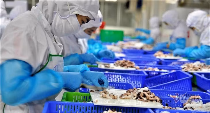 Bộ Y tế ra quy định 'Sống chung với dịch', DN lập tức phản hồi