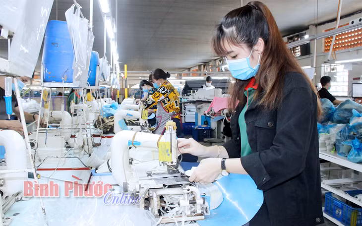 Hệ thống thiết bị công nghệ mới được số hóa của Chi nhánh 2 Công ty cổ phần đầu tư Thái Bình, TP. Đồng Xoài đã thay thế vị trí của 30% công nhân lao động thủ công