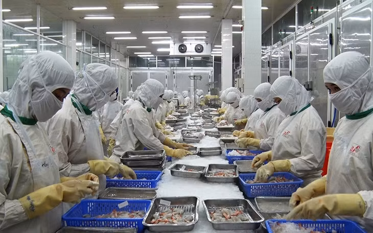 Đồng bằng sông Cửu Long chỉ còn 250 doanh nghiệp hoạt động cầm chừng.