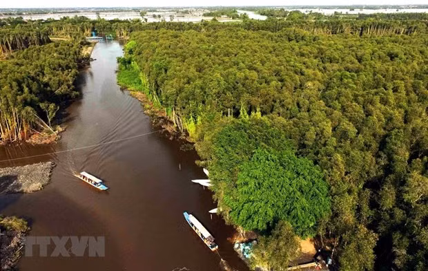 Du lich Nam Bo linh hoat thich ung, xay dung ke hoach phuc hoi hinh anh 1