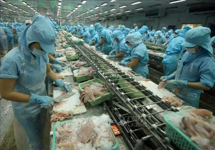 Ngành thủy sản đối mặt với nhiều khó khăn thách thức trong những tháng cuối năm. (ảnh TTXVN)