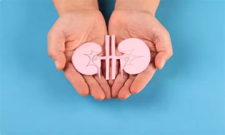 7 dấu hiệu của bệnh thận bạn không nên bỏ qua ảnh 1