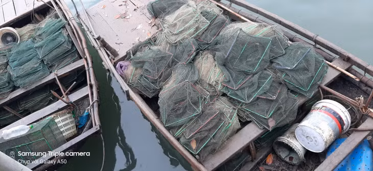 Lưới lồng sử dụng cho khai thác thuỷ sản trái phép, bị thu giữ qua các đợt thanh, kiểm tra của Chi cục Thuỷ sản (Sở NN&amp;PTNT).