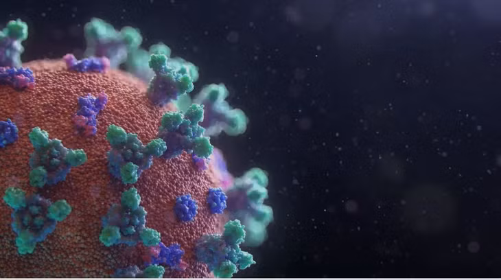 Hình ảnh mô phỏng virus SARS-CoV-2. Nguồn: alarabiya.net