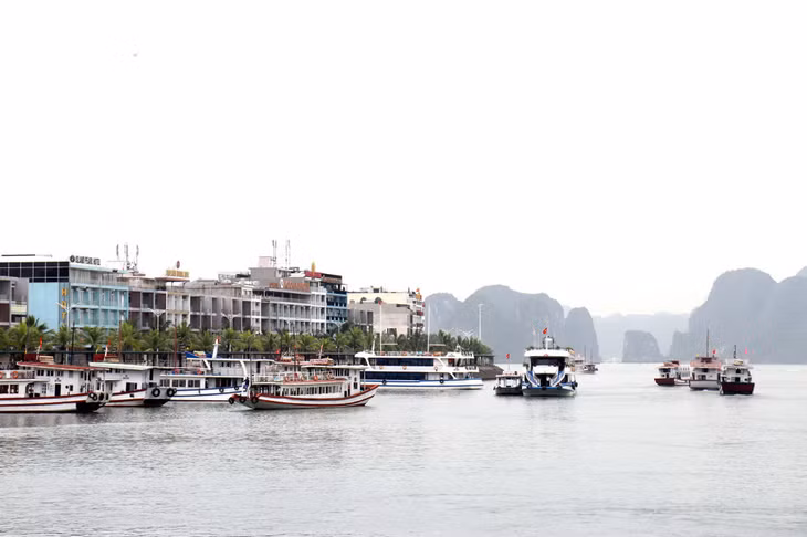 Doanh nghiệp hoạt động lĩnh vực du lịch đang rất cần những ưu đãi, hỗ trợ từ phía ngân hàng để khôi phục hoạt động trong trạng thái bình thường mới.