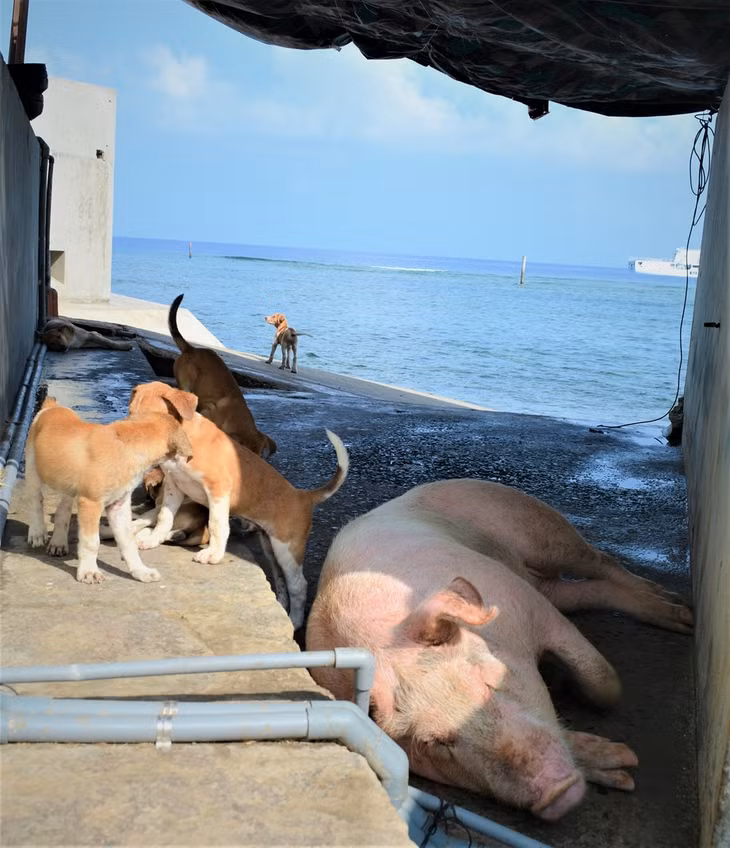 Bình yên bên biển...
