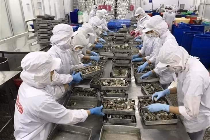 Doanh nghiệp thủy sản đang phải đối mặt 4 áp lực cùng lúc.