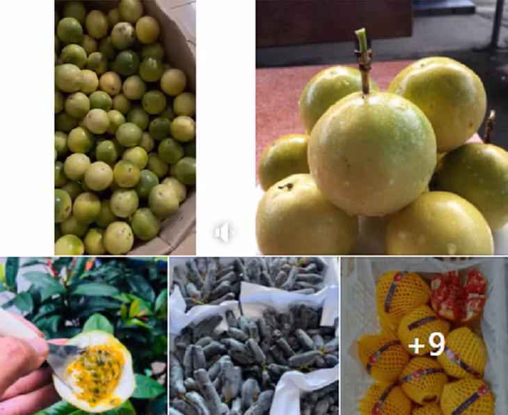 Từ khi chuyển hẳn sang bán hàng online, thu nhập của gia đình chị Thùy cải thiện rõ rệt. Ảnh minh họa Bỏ lương 15 triệu ra làm riêng, suốt năm trời không ai tin tôi thành công