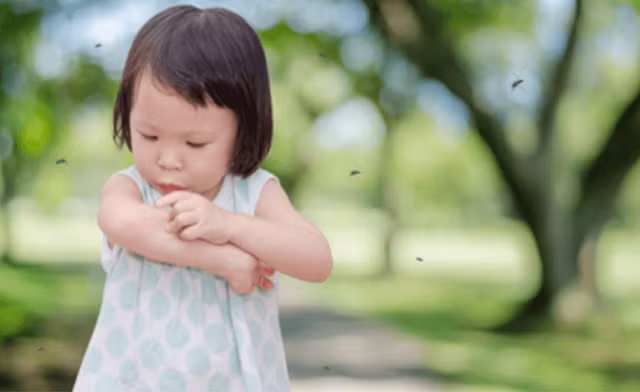 Trẻ em thường bị muỗi gây bệnh sốt xuất huyết tấn công. Ảnh minh họa