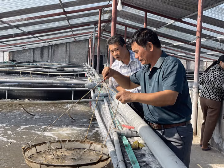 Trang trại nuôi tôm của ông Phạm Văn Đỗ, xã Quảng Nghĩa, TP Móng Cái ứng dụng KHCN góp phần nâng cao năng suất, chất lượng sản phẩm. Ảnh: Nguyên Ngọc