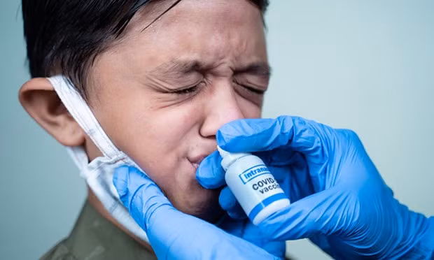 Australia phat trien vaccine ngua COVID-19 dang nho mui hinh anh 1