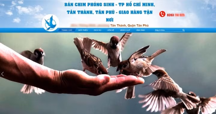 Rất nhiều cửa hàng chuyên bán động vật phục vụ cho mục đích phóng sinh.