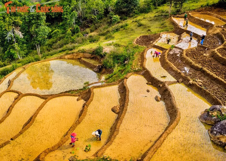 Tu Mơ Rông có địa hình phức tạp, bị chia cắt nhiều bởi các sông suối, hợp thủy và núi cao. Địa hình thấp dần từ bắc xuống nam và từ đông sang tây. Nơi đây có nhiều ruộng lúa bậc thang.