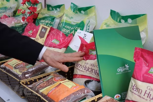 CPI thang Tam tang 0,88%: Do xang, dau va luong thuc len gia hinh anh 1