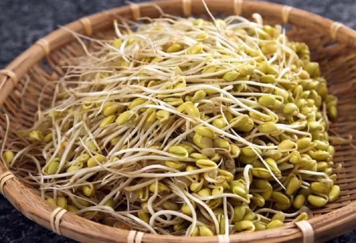 Giá đỗ là loại rau mầm rất phổ biến tại Việt Nam.