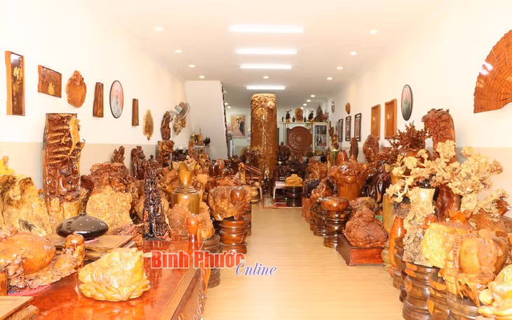 Qua nhiều năm sưu tầm, chế tác, hiện nay khu trưng bày của gia đình anh Đức có hàng ngàn tác phẩm nghệ thuật gỗ điêu khắc nhưng tất cả đều không trùng, giống nhau