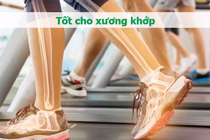 Việc ăn sụn gà có thể hỗ trợ người bệnh chống chịu tốt hơn các triệu chứng viêm khớp và các bệnh lý liên quan đến khớp (Đồ họa: Minh Nhật).