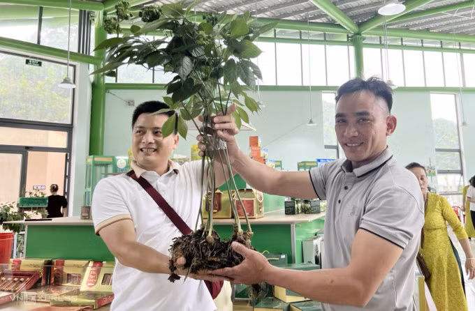 Anh Đinh Hồng Thắng bên phải bàn giao cây sâm 9 nhánh, nặng 1kg cho người mua chiều 2/8. Ảnh: Đắc Thành
