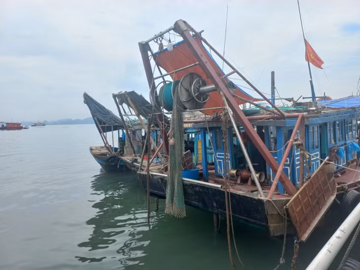 Những tàu cá khai thác thủy sản theo phương thức tận diệt trên Vịnh Hạ Long bị các lực lượng chức năng phát hiện, thu giữ. Ảnh do đơn vị cung cấp