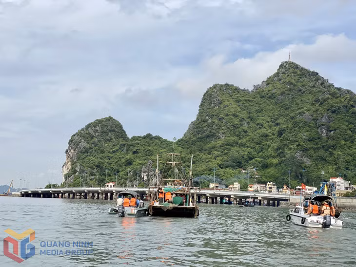 Lực lượng chức năng của thành phố kiên quyết xử lý nghiêm đối với các chủ phương tiện, thuyền viên cố ý vi phạm các quy định về neo đậu, gây ảnh hưởng đến trật tự an toàn giao thông đường thuỷ, gây mất mỹ quan, vệ sinh môi trường khu vực ven bờ Vịnh Hạ Long.