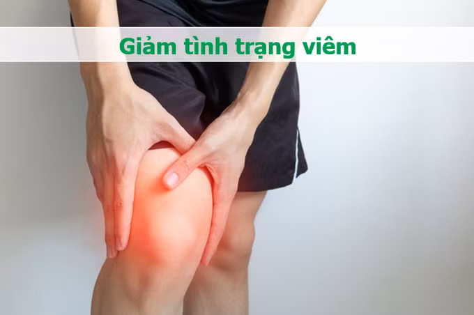 Sụn gà giảm nguy cơ mắc các bệnh mãn tính như bệnh tim mạch và bệnh tiểu đường (Đồ họa: Minh Nhật).