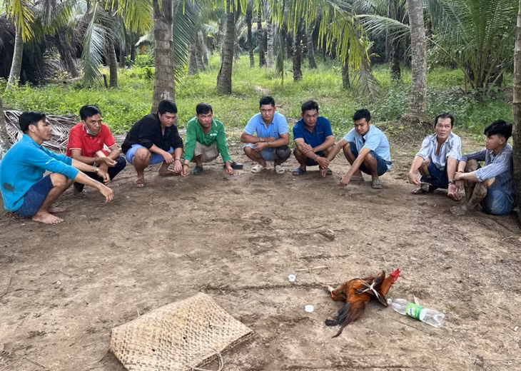 Nhóm người tụ tập đánh bạc bị bắt quả tang.