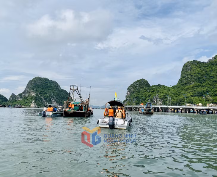 Lực lượng chức năng xử lý tình trạng các phương tiện tàu, thuyền neo đậu không đúng nơi quy định tại khu vực phường Bạch Đằng.