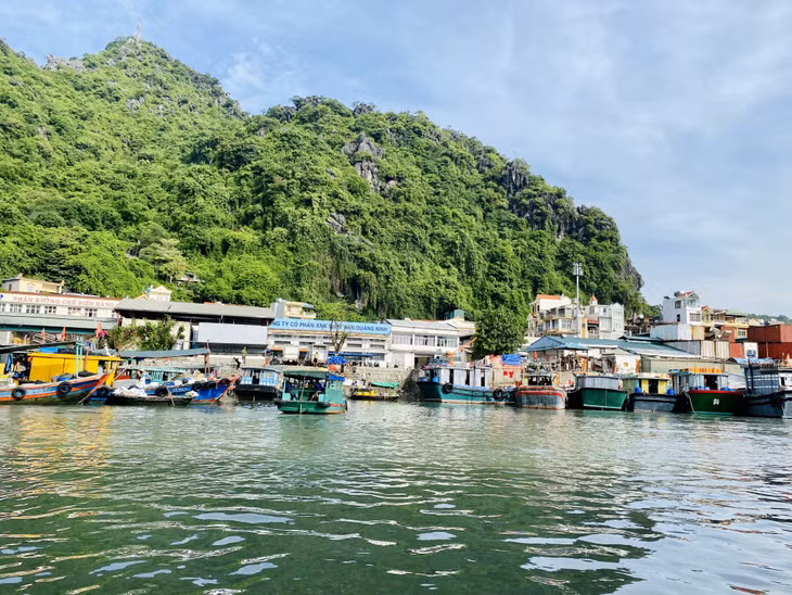Có khoảng 400 phương tiện đánh bắt thuỷ, hải sản, cung ứng, hậu cần neo đậu không đúng nơi quy định, gây mất an toàn giao thông đường thuỷ, ảnh hưởng đến môi trường và cảnh quan khu vực trung tâm thành phố.