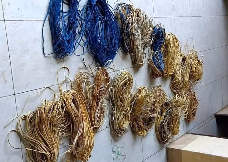 Tang vật, những cuộn dây điện Lập trộm của bố vợ.