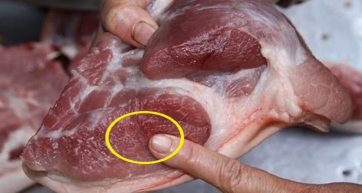 Nếu là thịt lợn bị bơm nước, tính đàn hồi của miếng thịt cũng sẽ rất thấp.