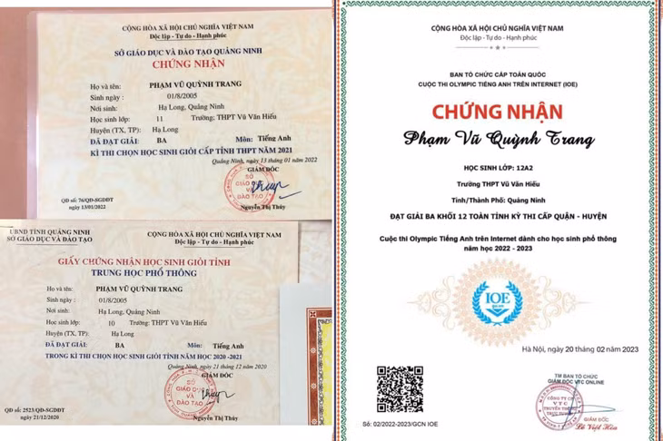 Trang đã đạt nhiều giải thưởng cấp trường, cấp thành phố, cấp tỉnh môn tiếng Anh.