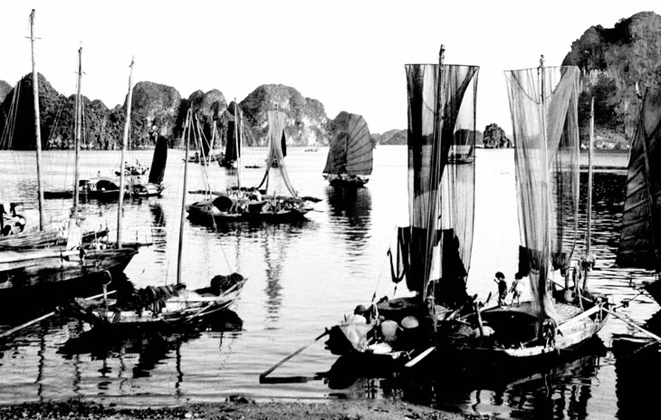 "Làng chài Làn Bè". Ảnh: Đỗ Kha