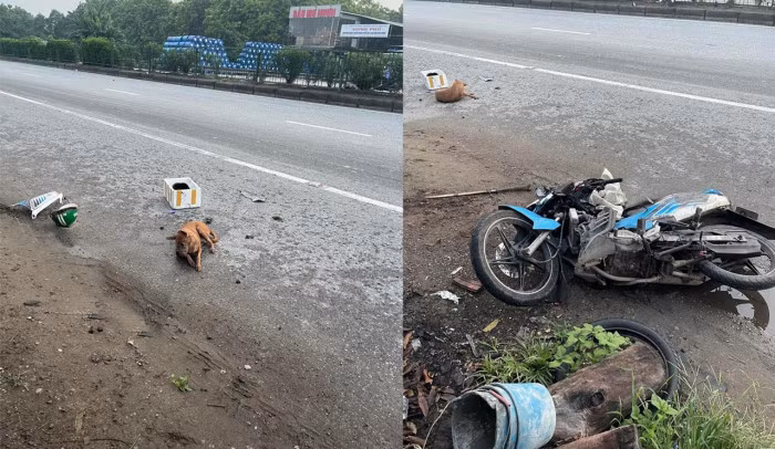 Thanh niên nghi trộm chó, tự gây tai nạn phải nhập viện gấp 1