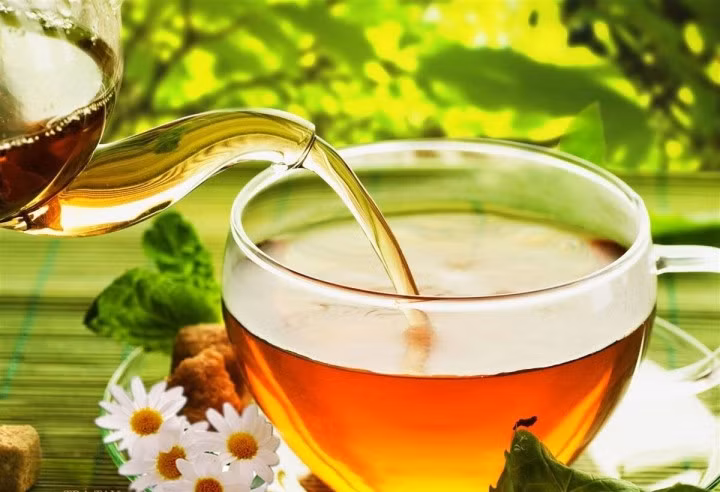 Nước nhân trần mang đến rất nhiều công dụng đối với sức khỏe.