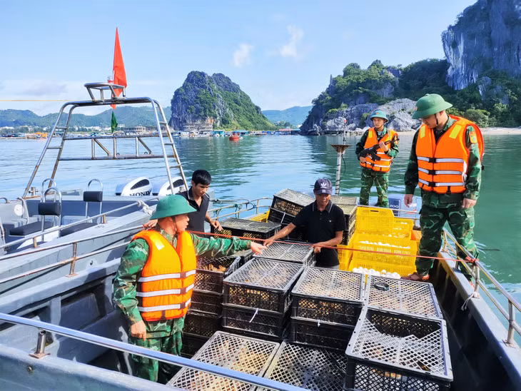 Tang vật thu giữ tại tàu.
