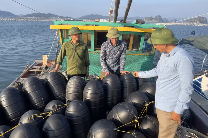 Các hộ nuôi trồng thủy sản huyện Vân Đồn thay thế phao xốp bằng phao nhựa hợp quy chuẩn kỹ thuật địa phương.