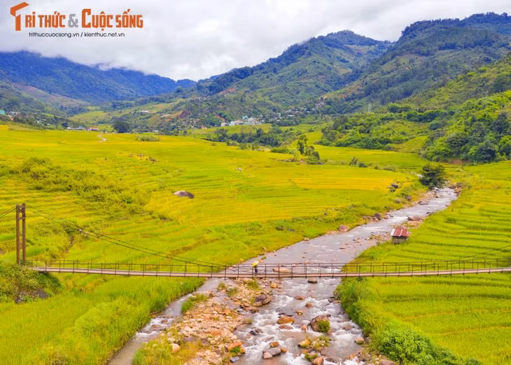 Ở nơi này có dãy núi Ngọc Linh, núi Ngọc Tu Măng, Ngọc Puôk, Ngọc Păng độ cao trung bình từ 1.000 - 2.333 m so với mực nước biển.