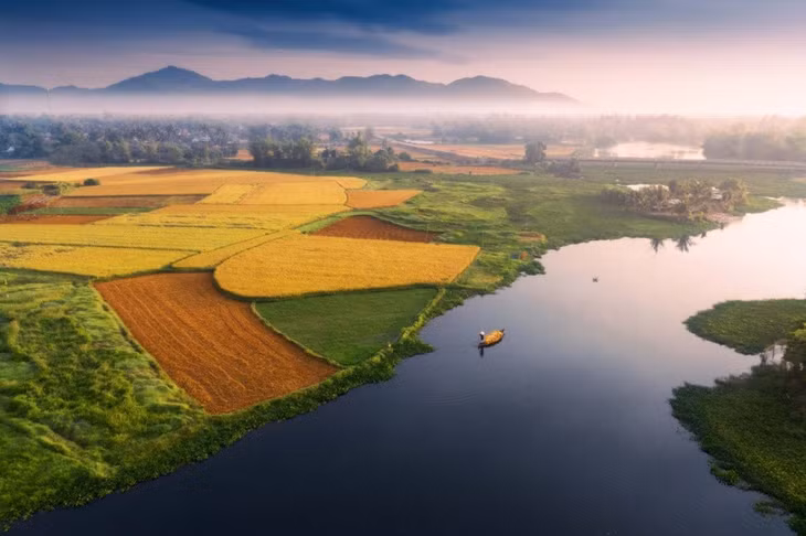 Hình ảnh người dân sau chở lúa sau khi gặt về bằng thuyền tại Bình Định. Ảnh: Cao Kỳ Nhân.